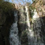 noca09-01-002