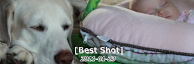 2011-01-23best-shot608x223 2011-01-23best-shot608x223