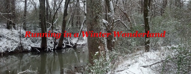 Running in a Winter Wonderland