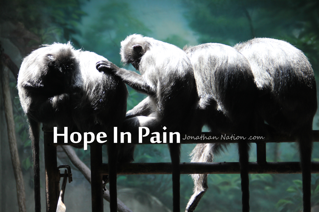 Hope In Pain